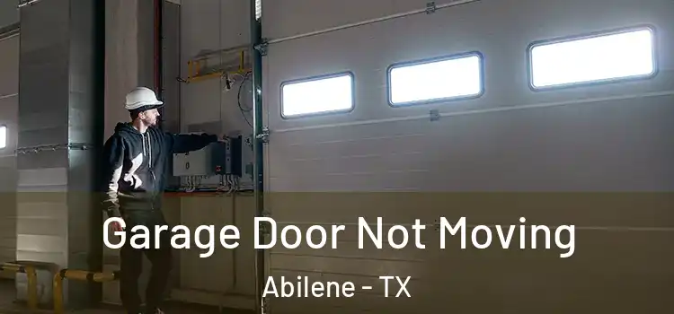  Garage Door Not Moving Abilene - TX